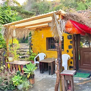 https://studio-mazo.in-canary-islands.com